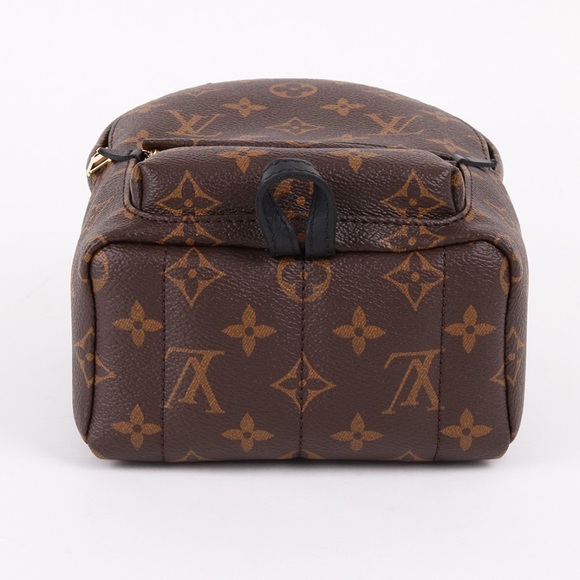 ❌SOLD❌Louis Vuitton Palm Springs Mini - Picture 5 of 9